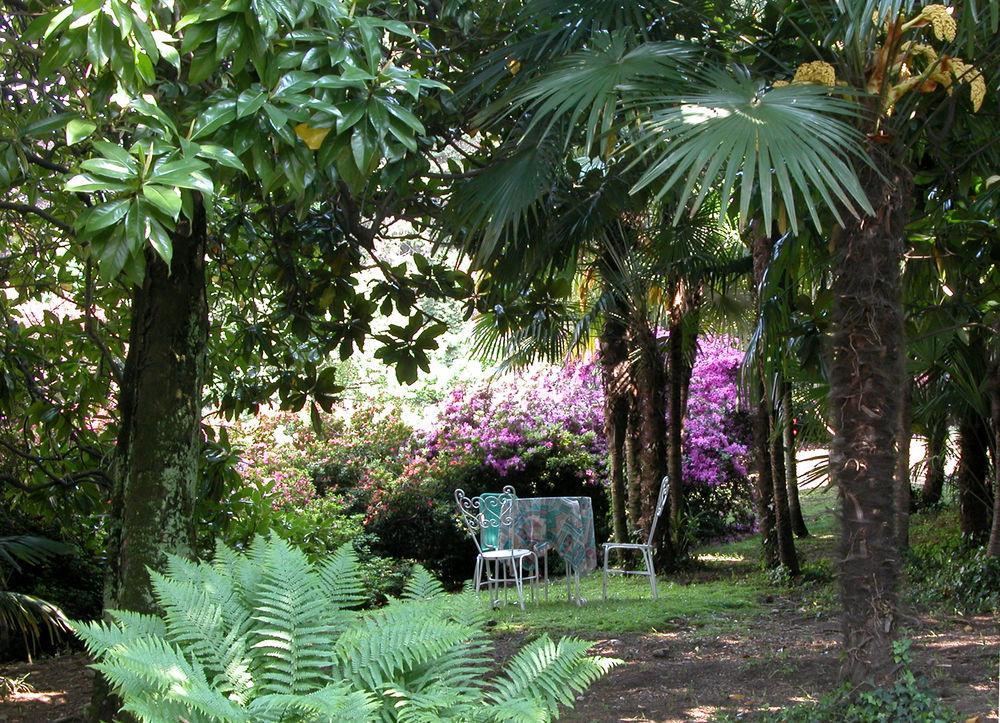 Du Parc Hotel Lake Maggiore Ngoại thất bức ảnh
