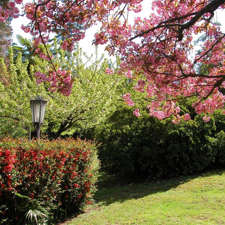 Du Parc Hotel Lake Maggiore Ngoại thất bức ảnh
