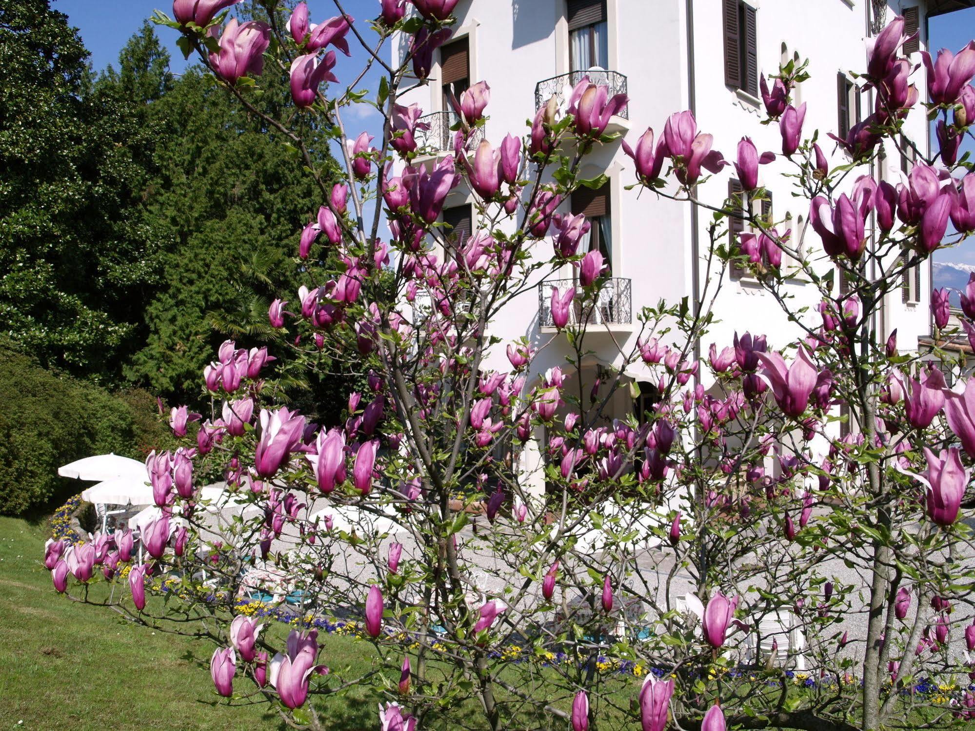 Du Parc Hotel Lake Maggiore Ngoại thất bức ảnh